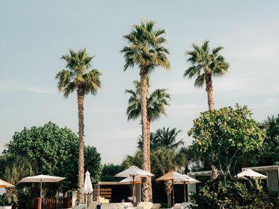 Schwimmbad mit Palmen und Sonnenschirmen an einem sonnigen Tag.