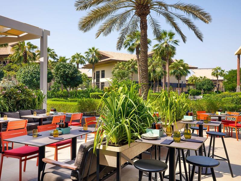 Espace extérieur d'un hôtel avec tables, chaises et végétation tropicale sous des palmiers.