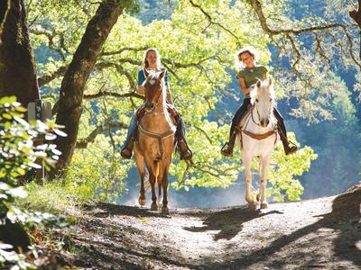 Zwei Personen reiten auf Pferden durch einen sonnendurchfluteten Waldweg.