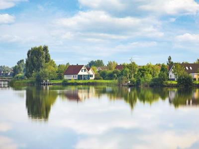 Krajina s domy a stromy u klidného jezera za denního světla