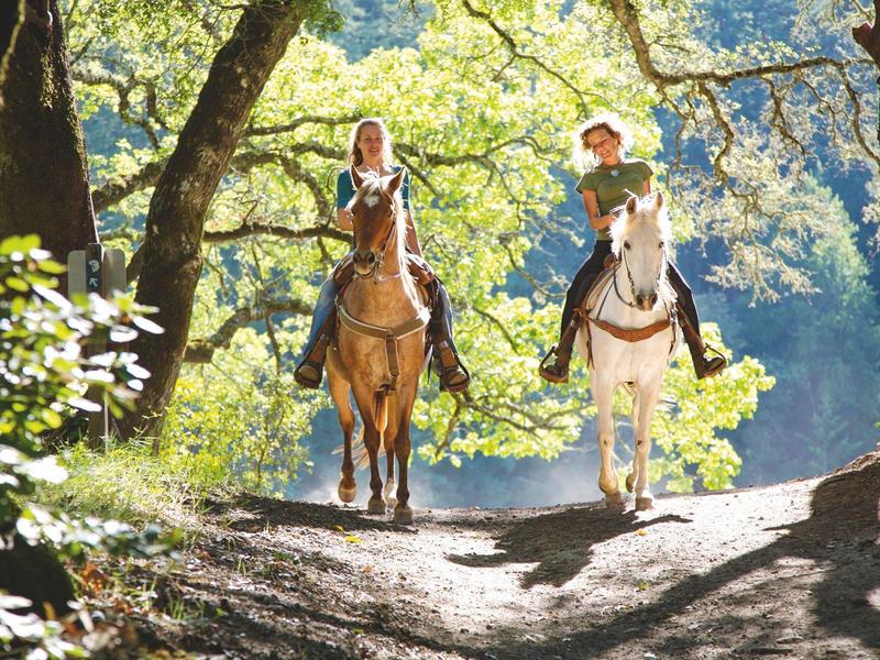 Dva lidé jedou na koních po slunečné lesní cestě.