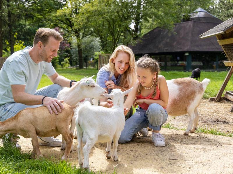 Rodina komunikuje se s kozami na slunné farmě se stromy a stodolou v pozadí.