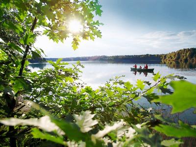 Sonnenlicht fällt durch grüne Blätter auf einen ruhigen See mit einem Boot in der Ferne.