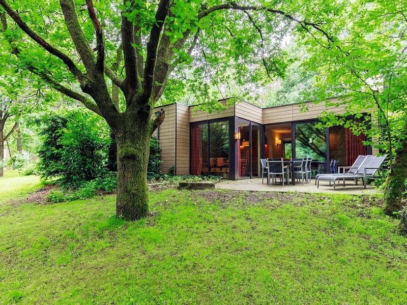 Bungalow moderno con terraza rodeado de jardín verde y árboles frondosos