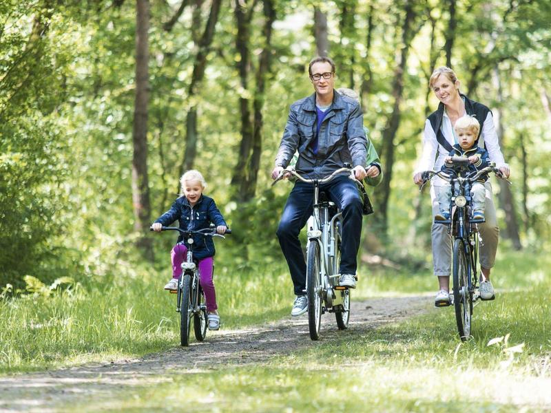 Rodzina jeździ razem na rowerach leśną ścieżką w słoneczną pogodę.