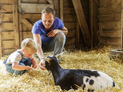 Un uomo e un ragazzo danno da mangiare a un capretto bianco e nero in un fienile di paglia.