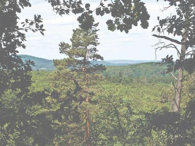 Widok na zalesione wzgórze pod częściowo zachmurzonym niebem.