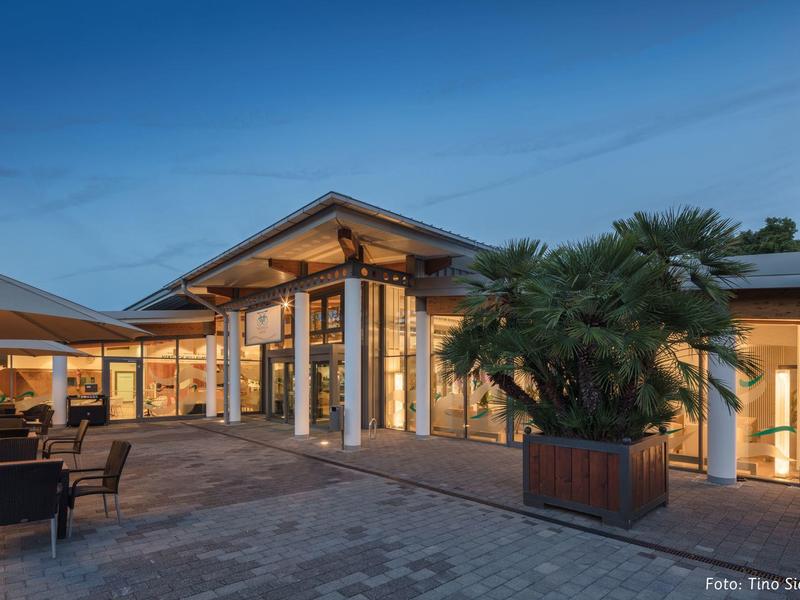 Modern hotel area with large windows, terrace, and palm trees at dusk.