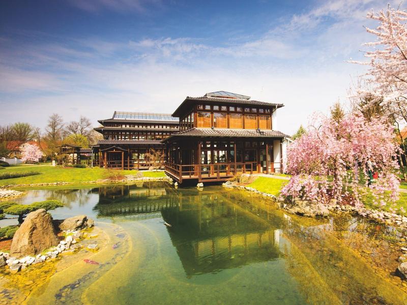 A traditional Japanese house by a pond surrounded by blooming cherry trees.