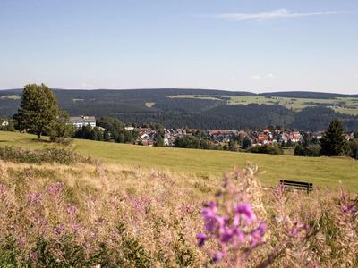 Grüne Wiese mit lila Blumen, dahinter Dorf und hügelige Landschaft unter blauem Himmel.