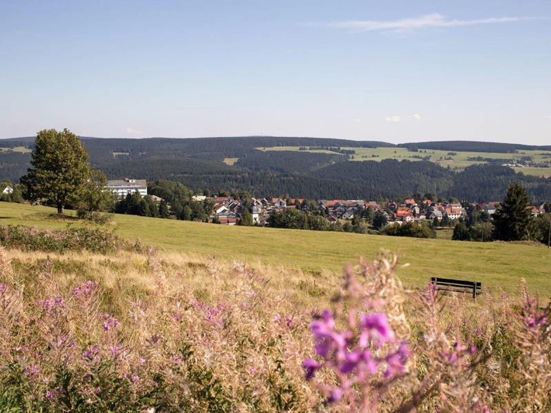 Grüne Wiese mit lila Blumen, dahinter Dorf und hügelige Landschaft unter blauem Himmel.