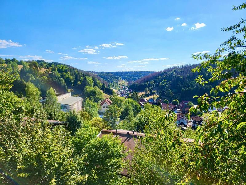Blick auf ein grünes Tal mit Häusern, Waldhängen und blauem Himmel mit vereinzelten Wolken.