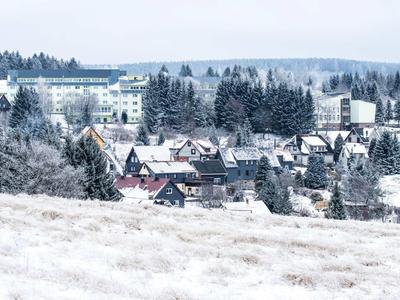Kleines Dorf mit schneebedeckten Häusern und Wald im Hintergrund an einem bewölkten Wintertag.