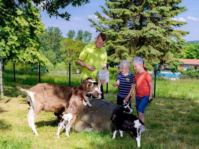 Deux enfants regardent des vaches et un homme dans un jardin vert et ensoleillé.