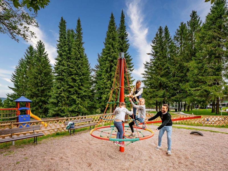 Drei Personen genießen eine Seilbahn auf einem Spielplatz umgeben von hohen Tannenbäumen.
