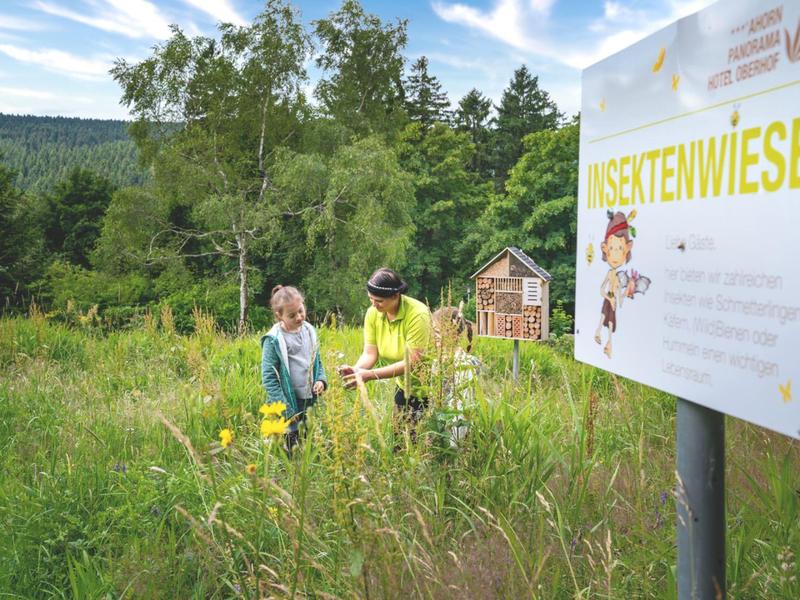 Zwei Personen erkunden eine grüne Blumenwiese mit einem Schild nebenan im Freien