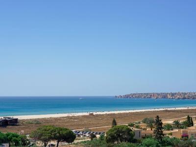 Klarer blauer Himmel über ruhigem Meer, vielen Bäumen und einem Küstenort mit Sandstrand.