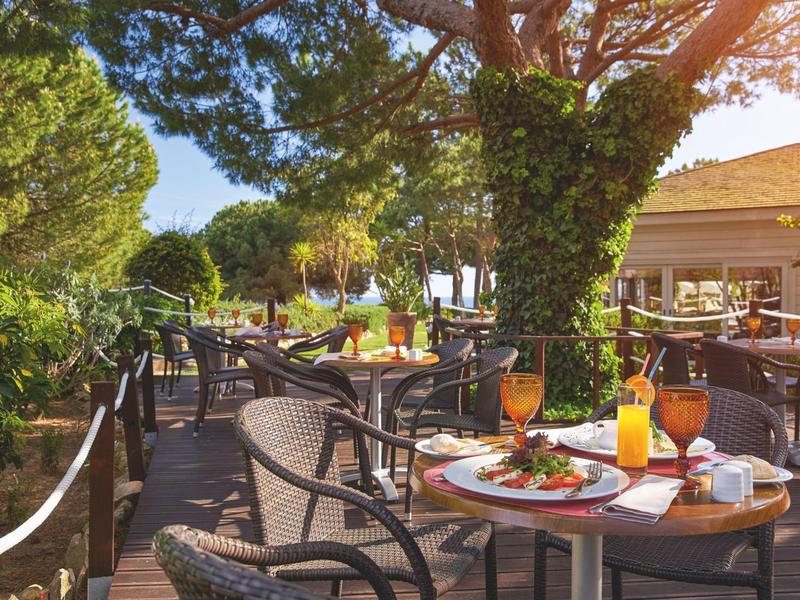 Terasa restaurace s prostřenými stoly a výhledem na zahradu a stromy.