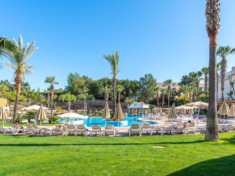 Zonnig hotelzwembad met palmbomen, groen gras, ligstoelen en parasols onder een heldere blauwe hemel.