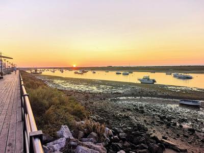 Sunset over a calm harbor with boats and a wooden boardwalk on the left.