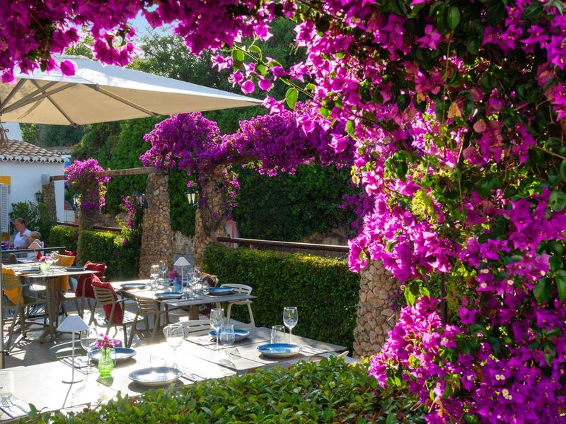 Zonterras van een hotel met tafels en stoelen omgeven door weelderige roze bloemen.