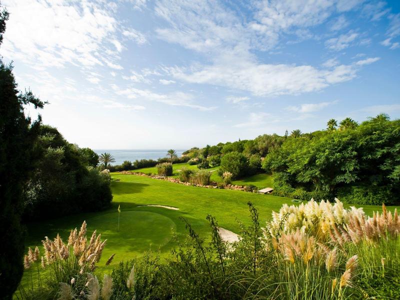 Groen landschap met bomen, gras en bloeiende planten onder een blauwe lucht.