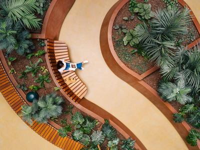 Vogelperspektive auf geschwungene Holzbänke und grüne Pflanzen in einem Innenhof.