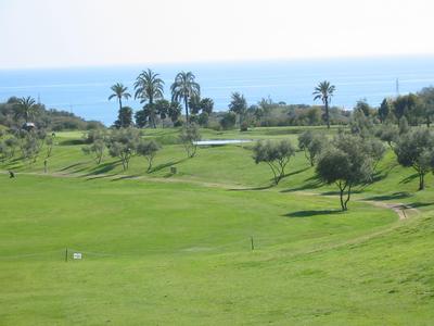 Green golf course with scattered trees and a view of the sea in the background.