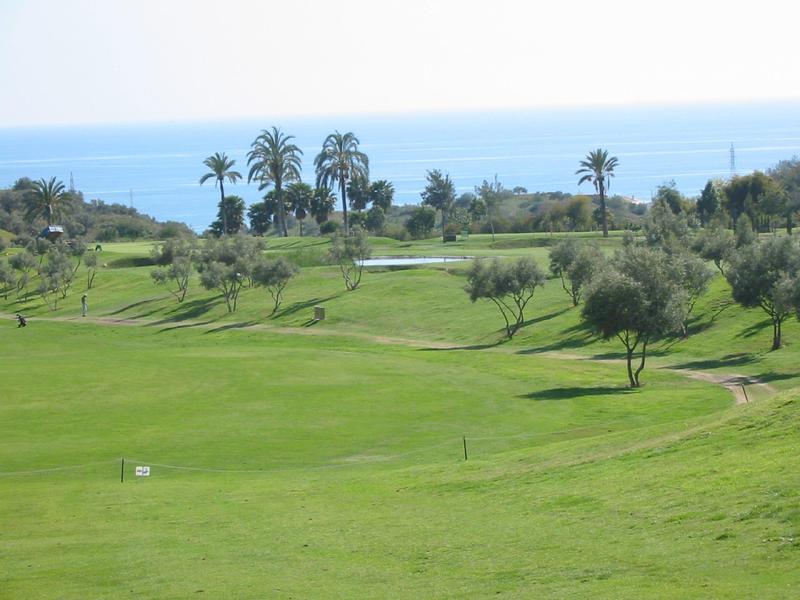 Campo da golf verde con alberi sparsi e vista mare sullo sfondo.