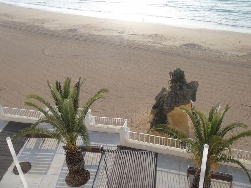 Strand mit Palmen, Holzsteg und Felsen am Sandstrand unter bewölktem Himmel.