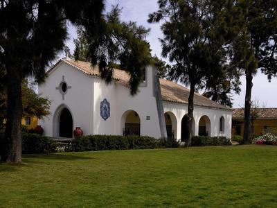 Ein heller Raum mit runden Tischen, schwarzen Tischdecken und roten Stühlen, gedeckt für ein Essen.