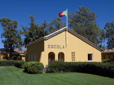 Gelbes Schulgebäude mit rotem Dach, drei Bögen, Flagge auf Mast und grünem Rasen im Vordergrund.