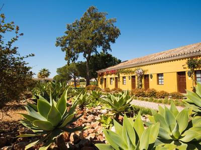 Haus mit gelber Fassade, umgeben von grünen Sukkulenten und Bäumen unter klarem blauem Himmel.