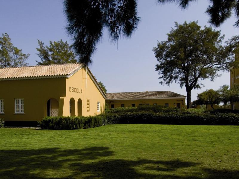 Hell beleuchtetes Hallenbad mit Mosaikfliesen, Edelstahlleiter und großen Fenstern in Decke.