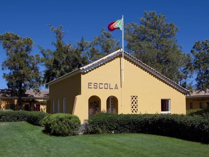 Gelbes Schulgebäude mit rotem Dach, drei Bögen, Flagge auf Mast und grünem Rasen im Vordergrund.