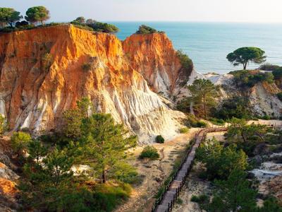 Hohe Klippen mit Bäumen und Blick auf das Meer bei klarem Himmel.