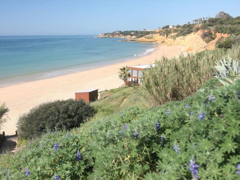 Piaszczysta plaża z krystalicznie niebieską wodą i zieloną roślinnością na pierwszym planie