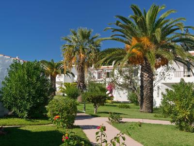 Sentiero di giardino soleggiato con palme e edifici bianchi sullo sfondo sotto un cielo blu.