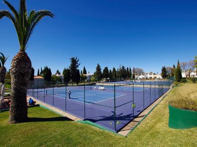Tennisplatz mit blauem Belag zwischen Palmen und Rasen unter klarem Himmel