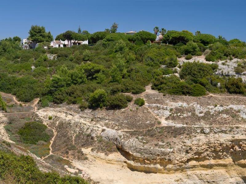Scogliere con sentieri rocciosi e vegetazione lungo la costa con vista sul mare blu.