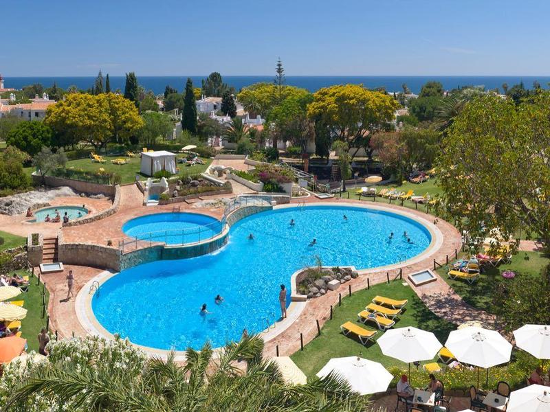 Grande piscina dell'hotel con design ricurvo, circondata da lettini e palme verdi.