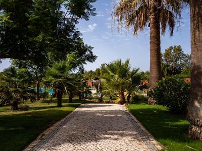 A paved path runs through a palm-lined garden under a clear sky.