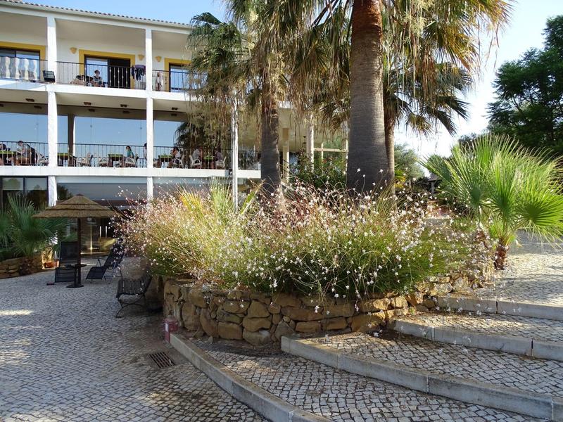 Hotel with terrace and palm trees, surrounded by paved path and stone flower bed