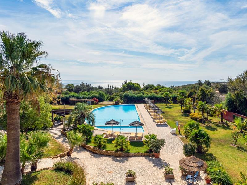 Large outdoor pool in a well-maintained garden with lounge chairs and palm trees under a blue sky.