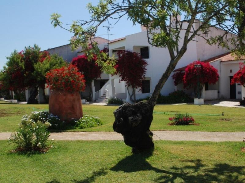 Jardín verde con árboles y flores frente a edificios blancos de hotel bajo cielo despejado.