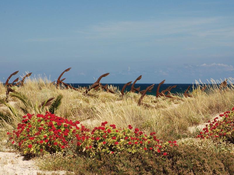 Arbustos florecientes y hierba en primer plano, con el mar y un cielo despejado al fondo.