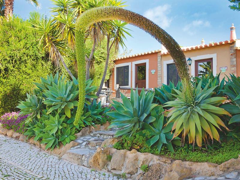 Haus mit roten Fensterläden, weißen Wänden und tropischen Pflanzen im Vorgarten bei Sonnenschein.