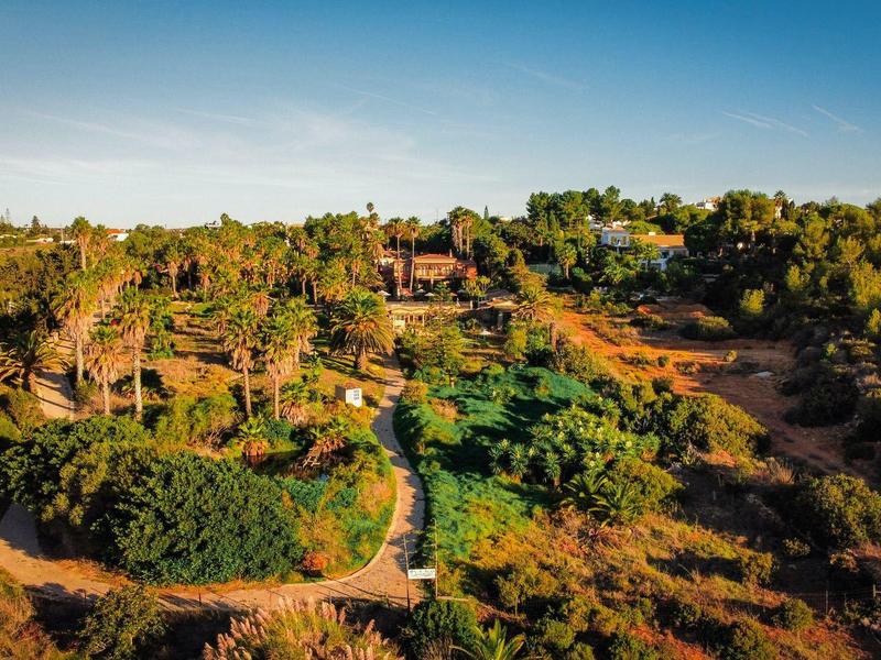 Grüner Garten mit Bäumen und Wegen auf hügeligem Gelände unter klarem Himmel bei Sonnenlicht.