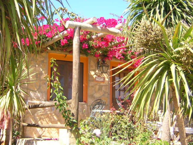 Kleines Haus umgeben von grünen Palmen und pinken Blüten bei hellem Tageslicht.