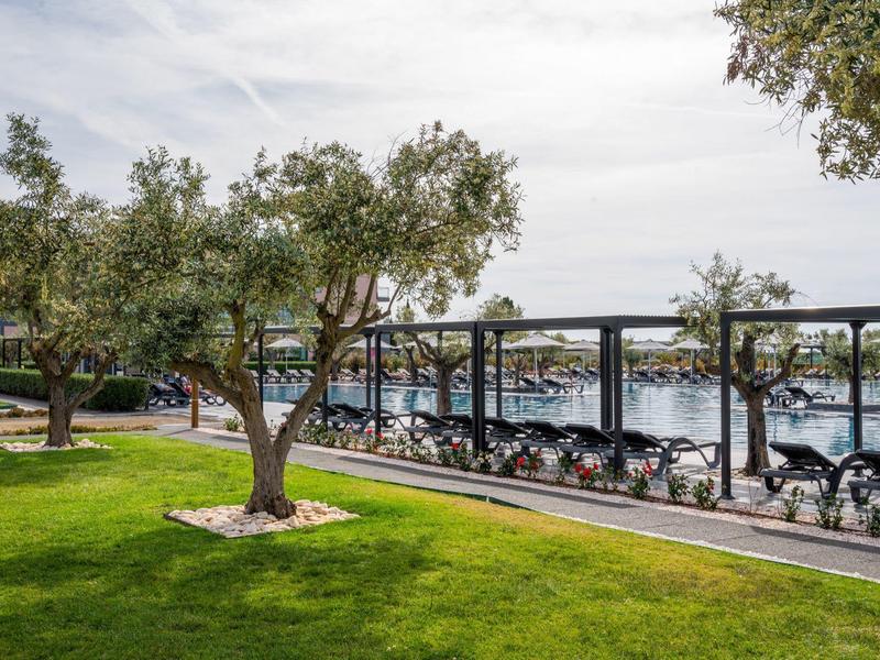 Grüner Park mit Olivenbäumen und Blick auf einen Yachthafen mit zahlreichen Booten.